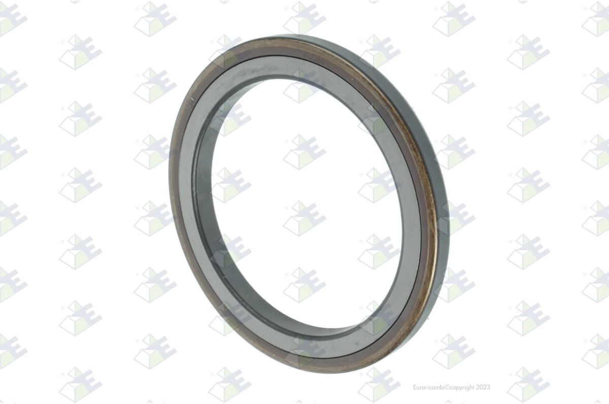 RETEN DE DIFERENCIAL RENAULT DXI